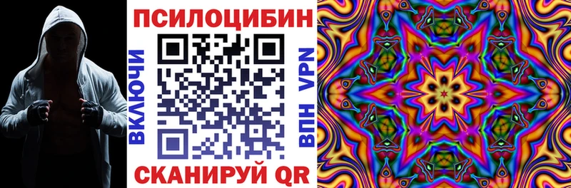 мега как войти  Еманжелинск  Псилоцибиновые грибы Psilocybe 